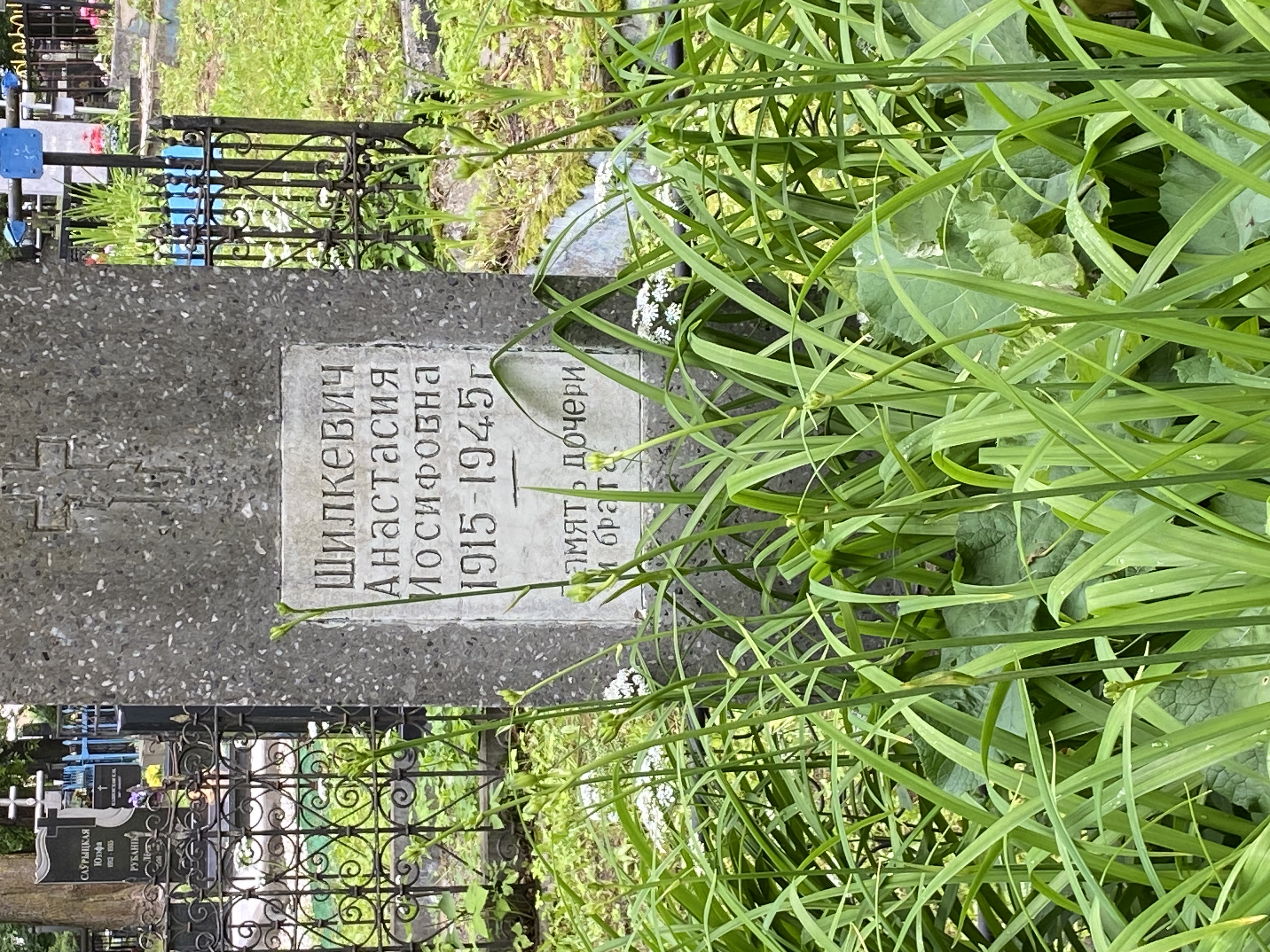 Фотография надгробия